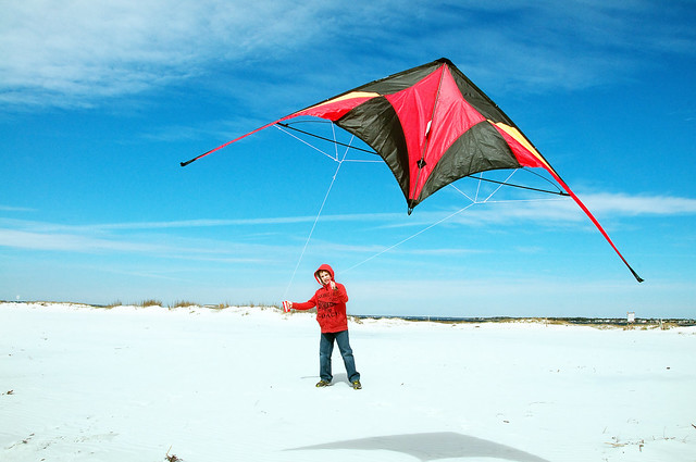 let's go fly a kite