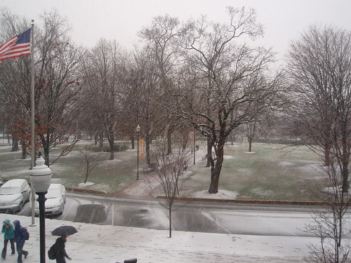 snowing in circle park
