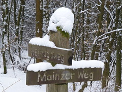 Mainzer Weg kreuzt Herzogsweg