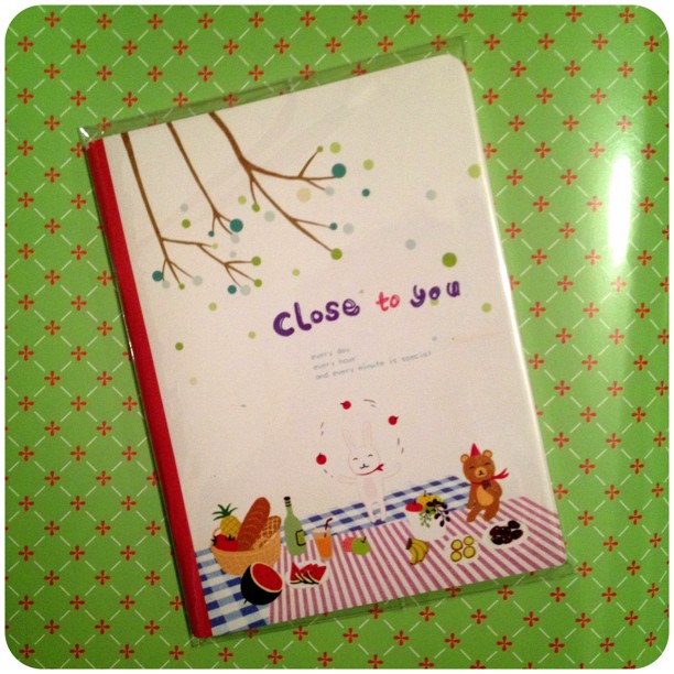 Each page is decorated in this #notebook #stationery #snailmail @yozocraft