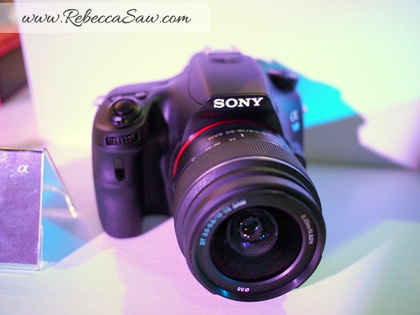 Sony Alpha Experience 2013 - sony NEX 3N DSLT A58-007