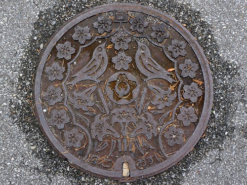 Nago city Okinawa pref, manhole cover （沖縄県名護市のマンホール）