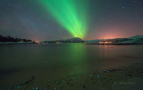 From Stamnes, Sortland, Norway. Auroras, and lightning algaes at the shore, 2013 