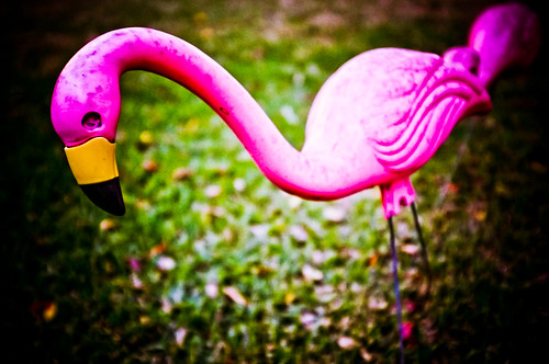 Flamingoes LOVE Croquet Battle Royales 2.16.13 by elawgrrl