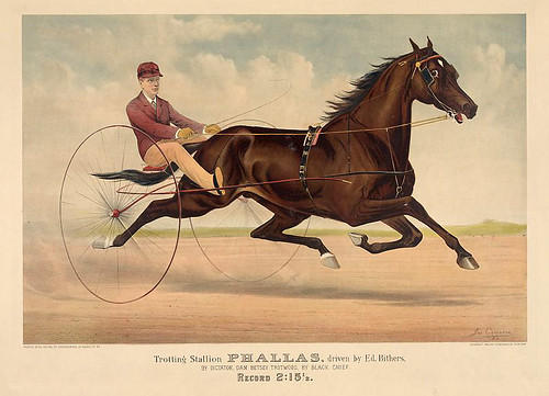 016-Imagen carreras caballos trotones-Library of Congress
