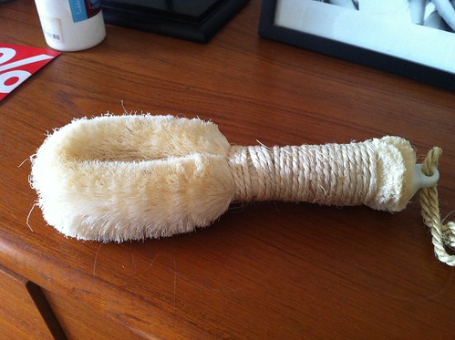 Breast Cancer Dry Brush by Breast Cancer Yoga