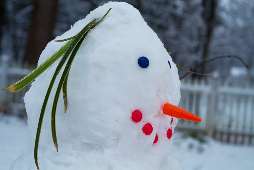 blog 1 snowman