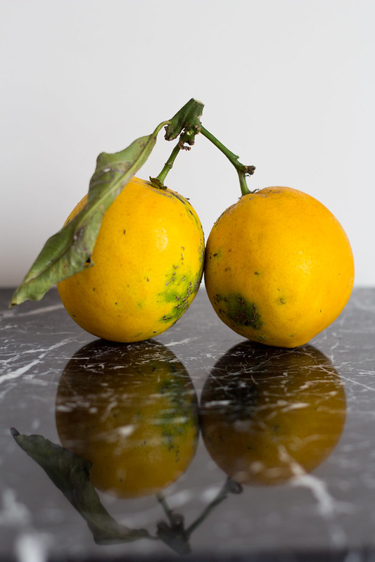 Tana Gandhi_food_photography_lemon