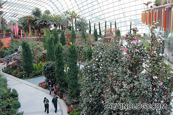 Spring Celebrations at the Flower Dome, Gardens by the Bay 