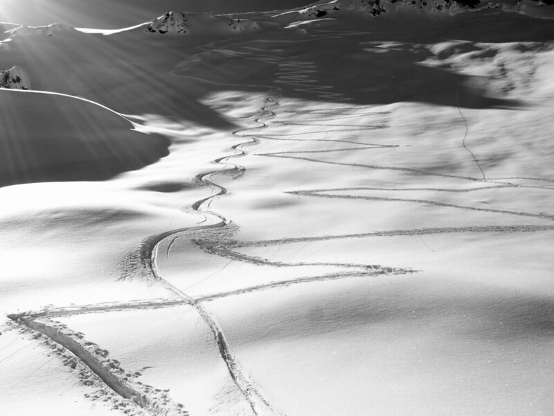 tracks from this am