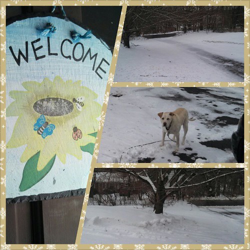 What happens when you hang up the "Welcome Spring" sign... #snow #march #newengland