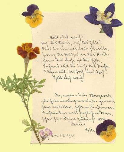 Poesiealbum Sütterlinschrift Erinnerung 