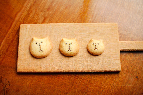 3 cat sisters cookie