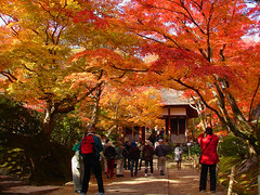 京都 in 2007