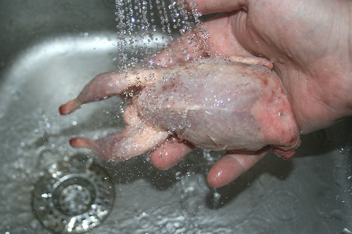 18 - Wachteln waschen / Wash quails