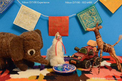 Nikon D7100 high ISO digital noise test review preview sample image photo NR noise reduction