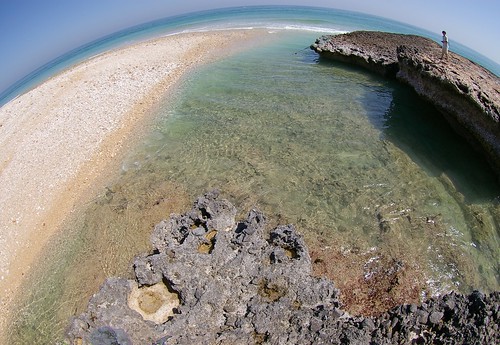 Uplifted shore platform and cyclone-derived debris flow deposits, northeastern coast of the Arabian Peninsula, Sultanate of Oman / アラビア半島北東海岸（オマーン国）の隆起ベンチとサイクロンによる砂礫堆積物