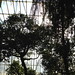 Glass house at Botanic Garden