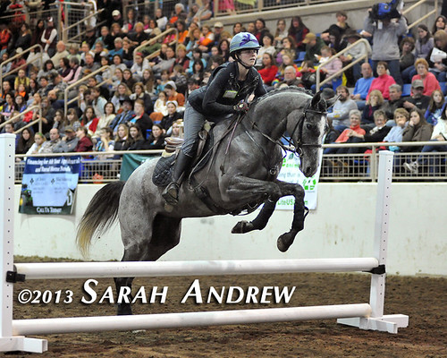 Michelle Warro and Gunport at the PA Horse World Expo