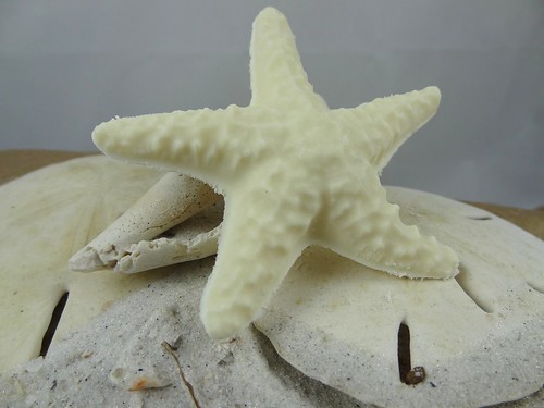 Starfish Soap - The Daily Scrub (12)