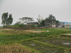 2011 - Decembre - Vietnam