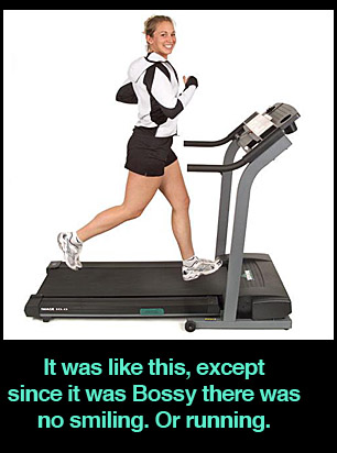 treadmill-bossy
