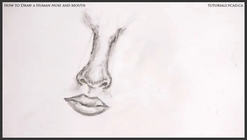 learn how to draw a human nose and mouth 016