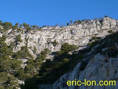 Exploring Mt Faron Toulon