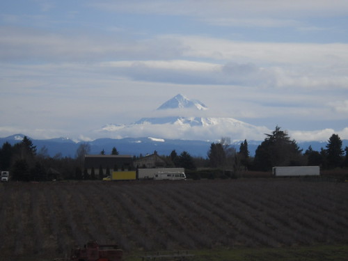 Mount Hood from Ritchey Road