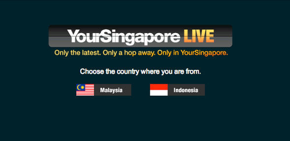 www.yoursingapore.com.png