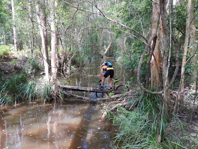 Crossing a Creek