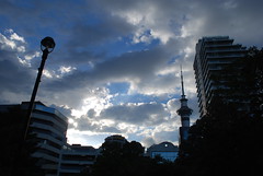 Auckland I