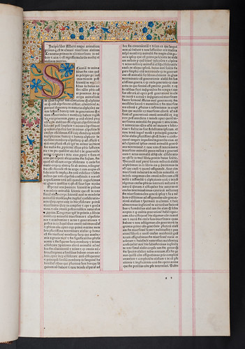 Decorated border and initial inserted in Albertus Magnus: De animalibus