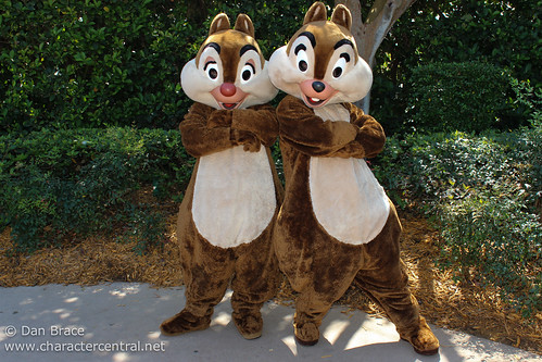 Saying Happy Birthday to Chip and Dale!