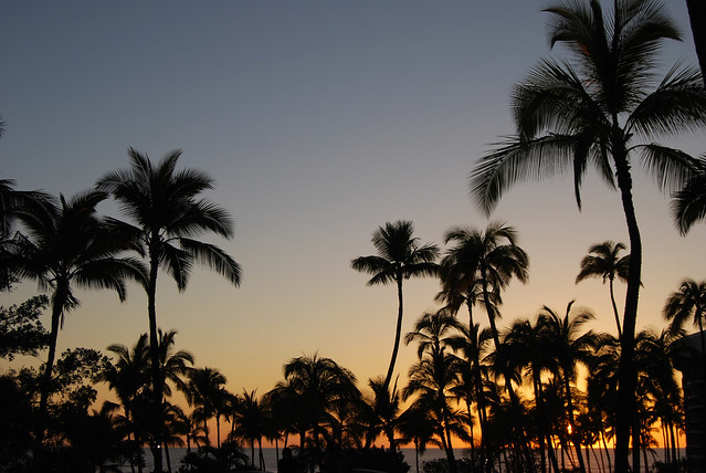 Waikoloa Sunset Palms