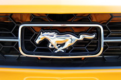 Mustang Emblems