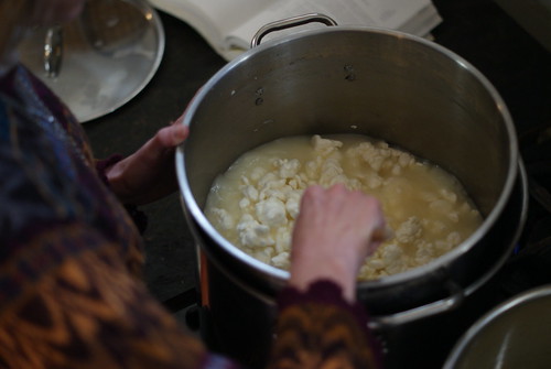 Charlene making a stirred-curd cheddar