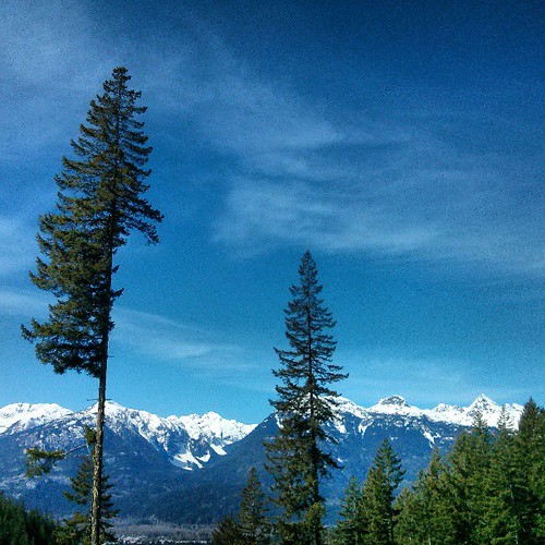 Some decent views from the trail we're using in both The Squamish50 & Survival Of The Fittest