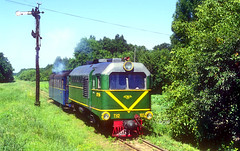 World narrow gauge locos