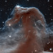 Infrared Horsehead Nebula