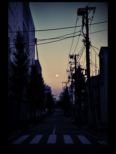 Lonesome Moon over Tokyo... Les rêves nippons. by L'Ubuesque Boîte à Savon