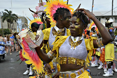 Mashramani Guyana 2013 - The Rest