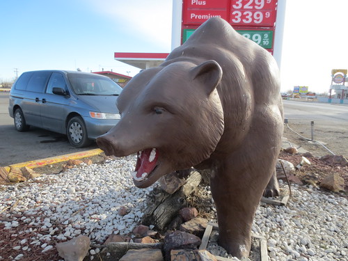 Gas station bear