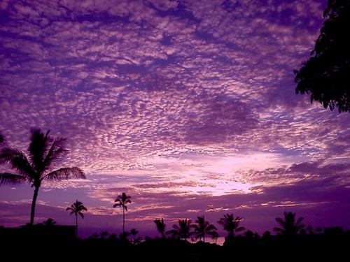 Purple Haze of Maui by Booking Hotel IN