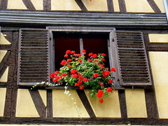 La belle Alsace