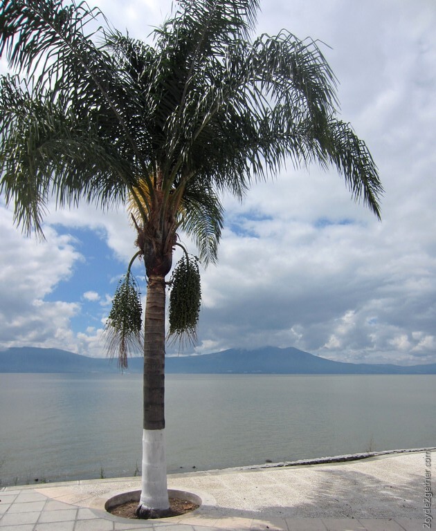 Lake Chapala, Ajijic Malecon