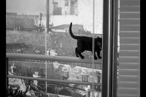 Paris as seen by the French New Wave - www.MyFrenchLife.org