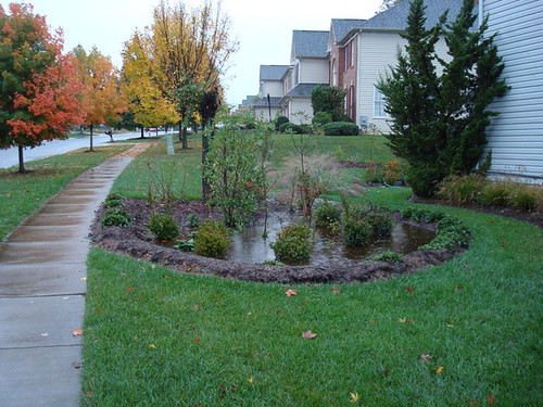 Image of a bioretention area with DEP staff
