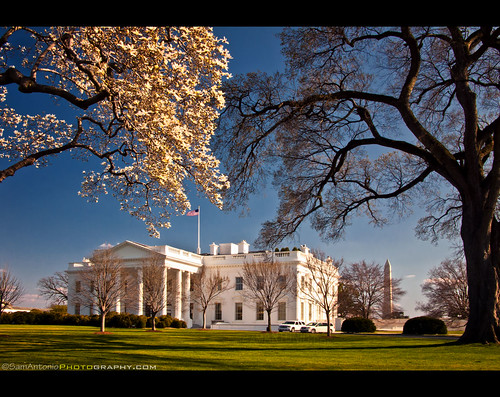 It’s Spring Time at the White House - Washington, DC by Sam Antonio Photography