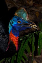 Papua New Guinea's Natural Wonders
